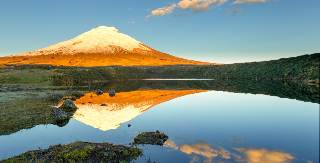 7 or 10-Night Tour in Ecuador