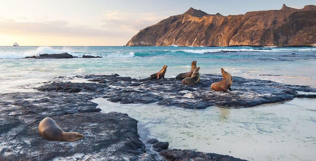 Private Tour: Adventure in Columbus Archipelago