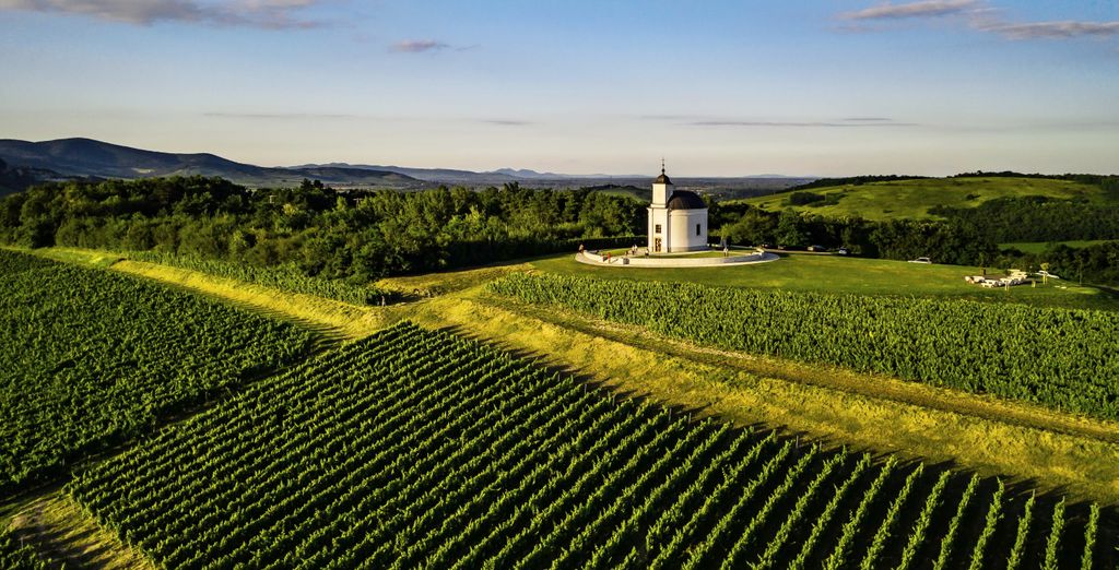 Cultural heritage and wine-tasting experience