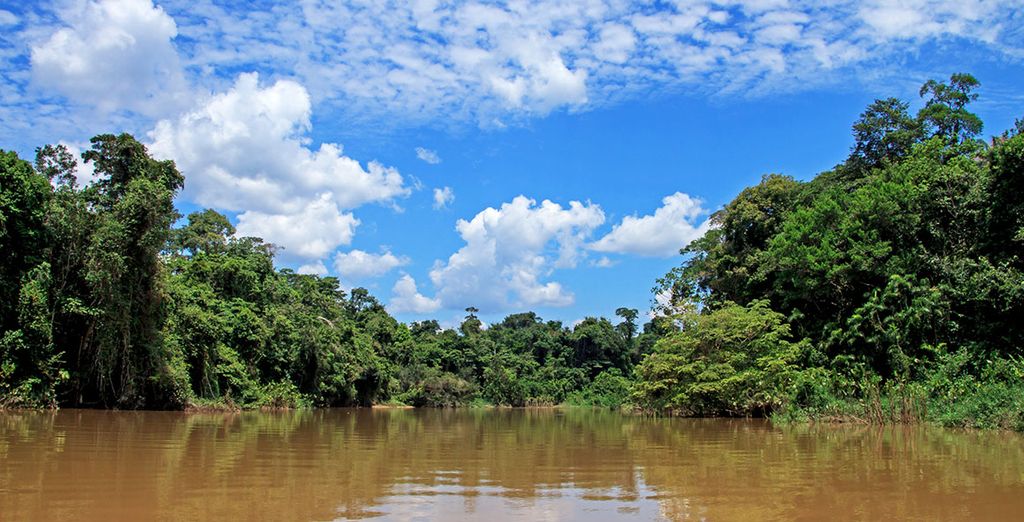 A tour in the Amazon rainforest 