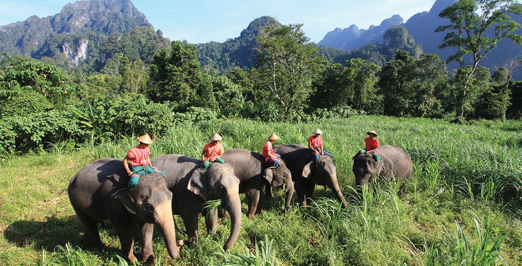 Bangkok, Elephant Hills and Khao Lak