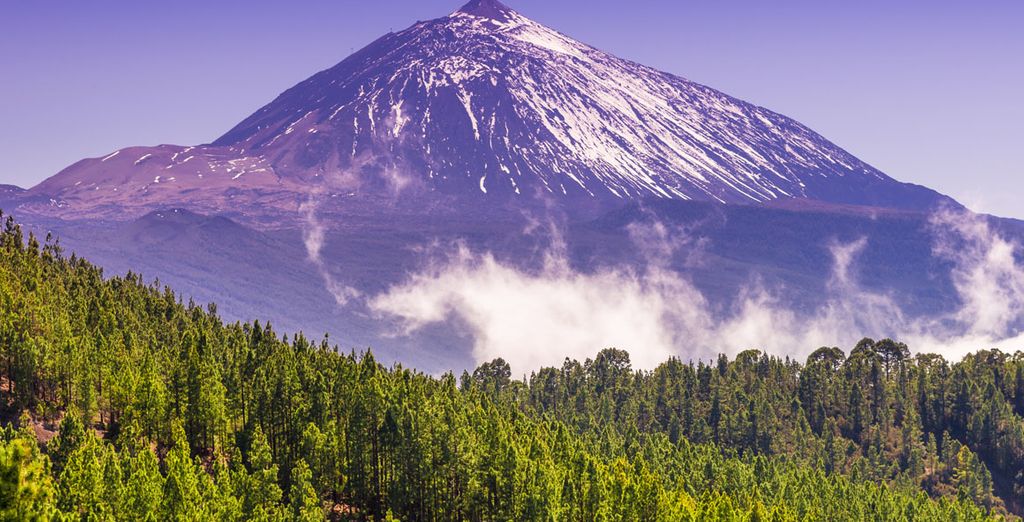 Canary Islands at last minute