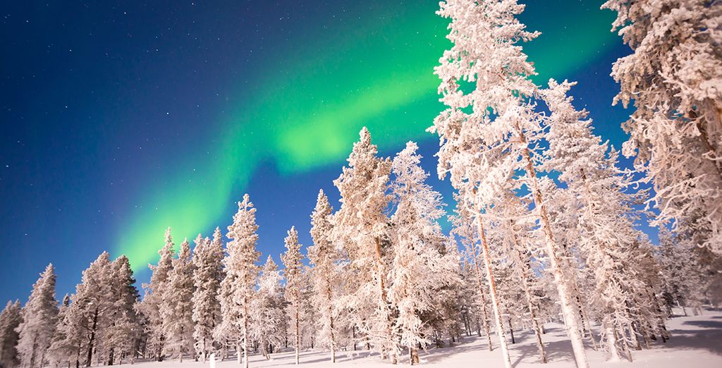 Ski holidays in December : Saariselkä, Lapland