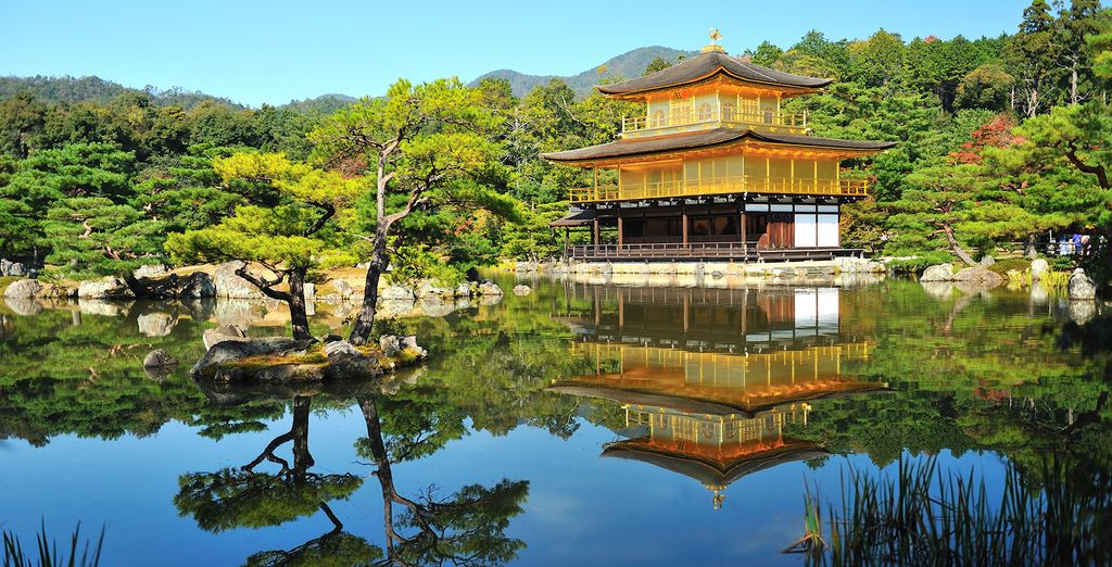 Package tour to discover all the wonders of Japan