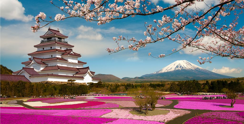 Discover the beauty of Japan