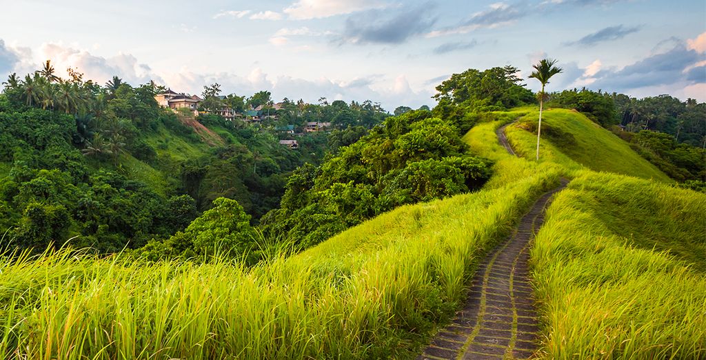 Pearls of Indonesia Tour with Optional Singapore