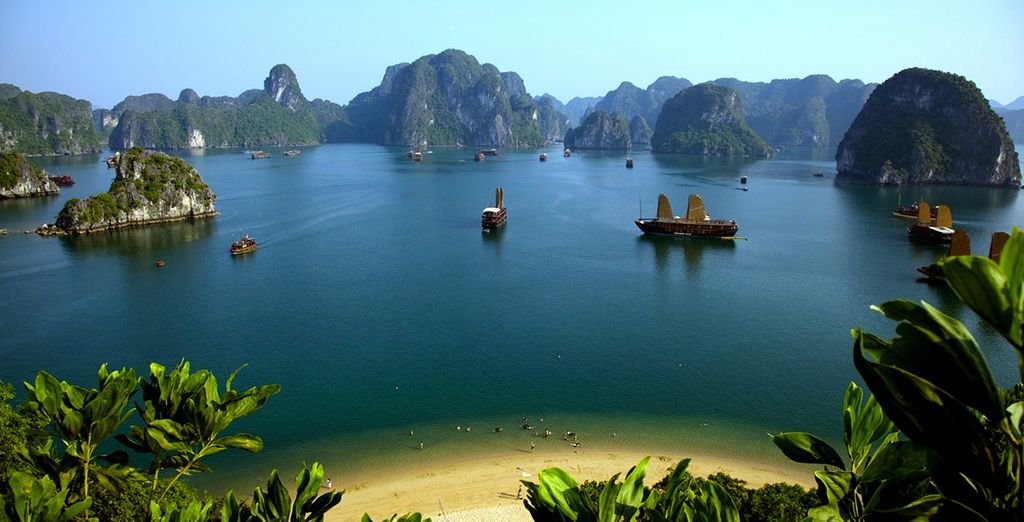 Amazing Vietnam cruise experience