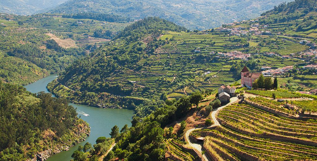 Start to explore Douro Region with Porto