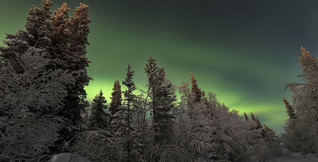 Northern Lights in Laplan : sweden holidays