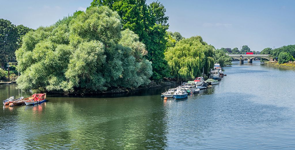 Thames cruise tickets