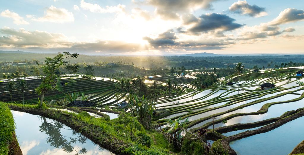 Wonders of Bali : Travel Guide