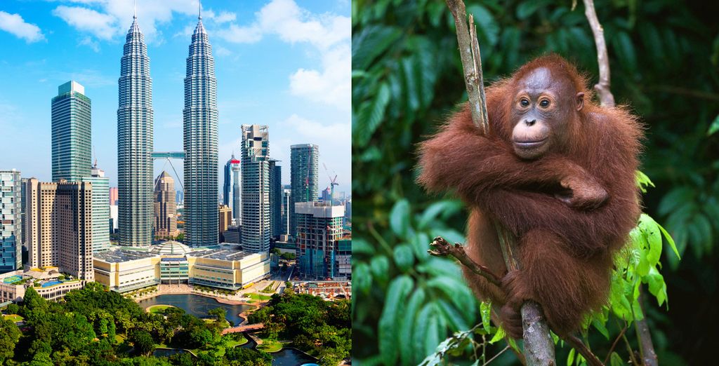 Discover Malaysia 4*