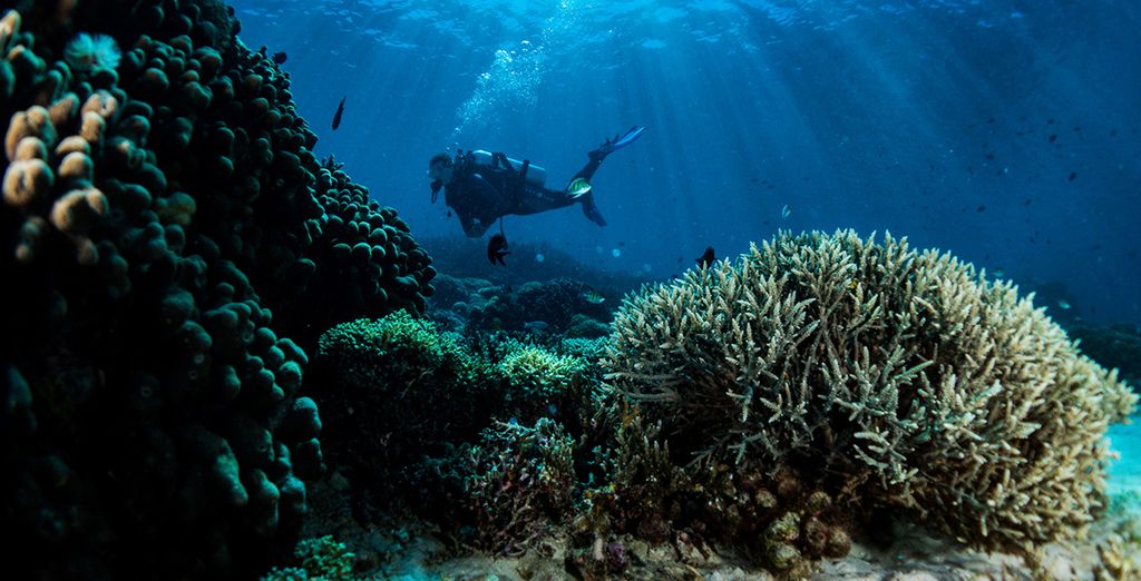 Bora Bora Honeymoon - Voyage Privé
