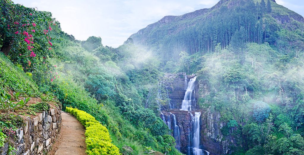 Serene Expedition- Sri Lanka honeymoon