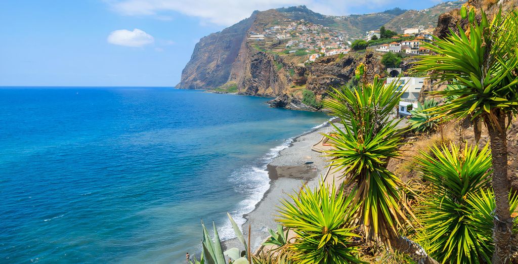 Hotel Riu Madeira 4*
