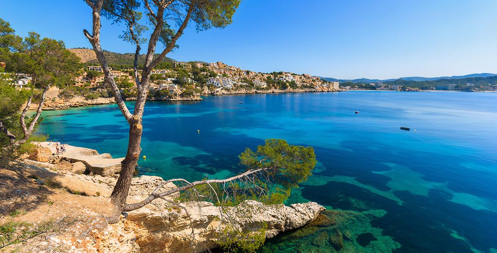 MSH Mallorca Senses Hotel Palmanova 4* - Adults Only