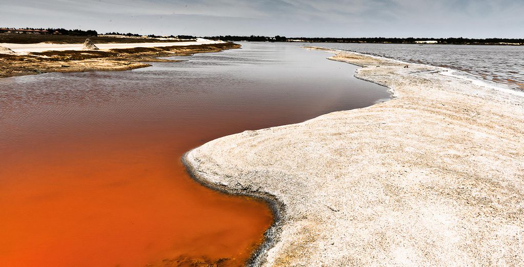 Tour privato di 7 notti del Senegal autentico con guida ed estensione balneare