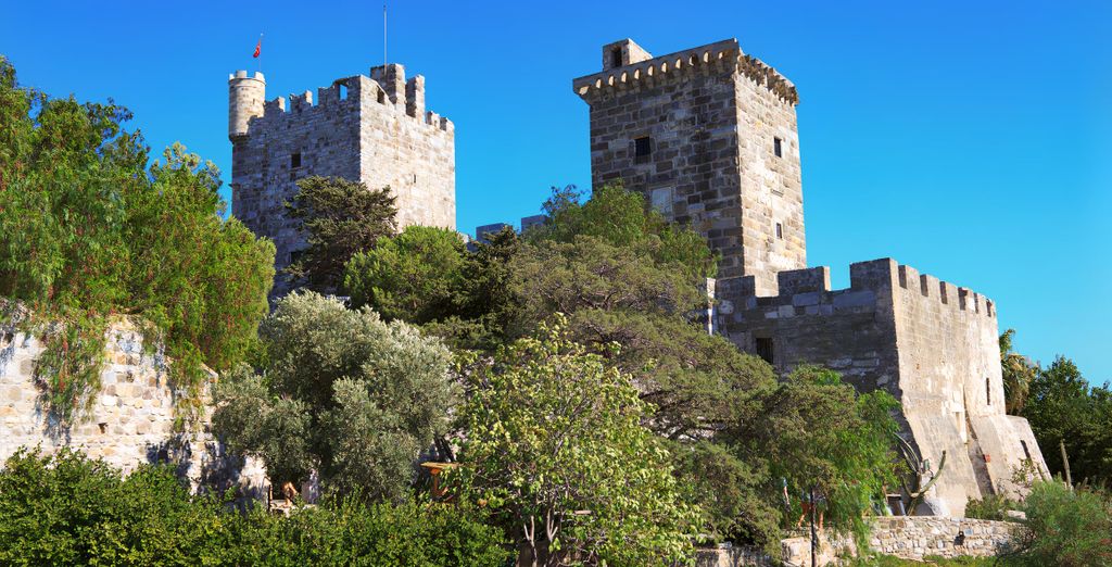 Tour del Kervansaray con estensione a Bodrum in 9 notti 