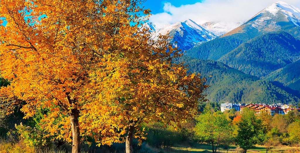 Ruskovets Resort 4* 