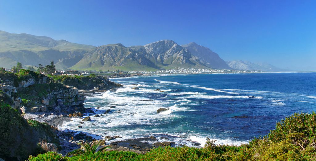 Kloof Street Hotel 4* con possibile estensione al Pan African Safari Lodge