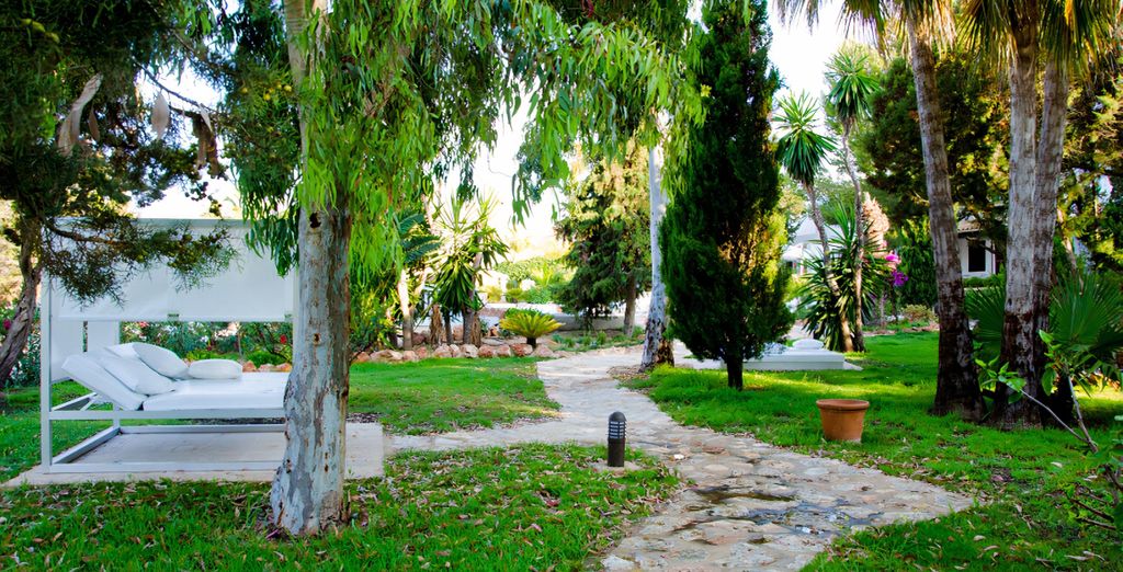 Paraiso De Los Pinos 4*