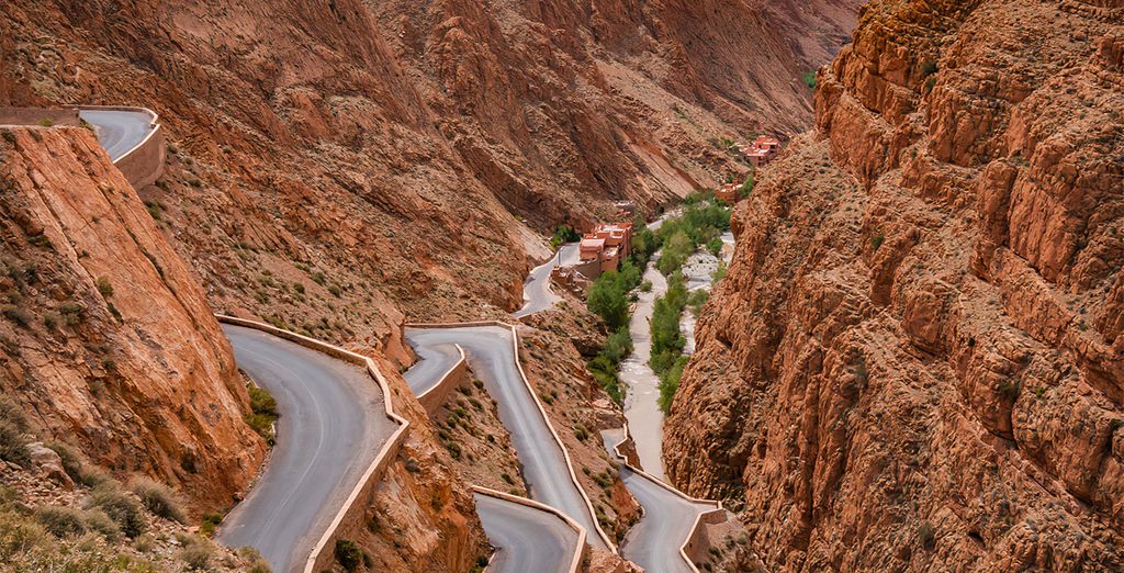 Tour nell'immensità del Gran Deserto 