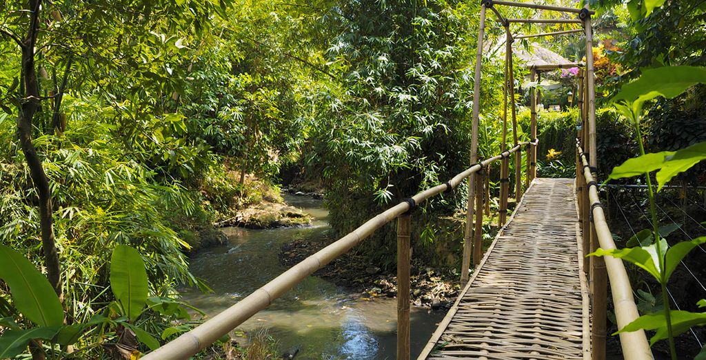 Seres Springs Resort 5*, GiliZen Resort 4* e Bali Cozy Villas 4*