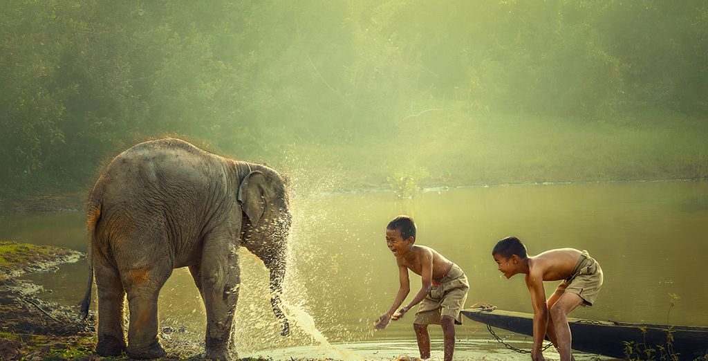 Tour privato "I segreti della Cambogia" con eventuale pre-estensione a Luang Prabang 
