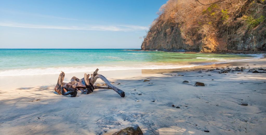 Autotour di 8, 10 o 12 notti tra foresta, spiagge e sorgenti termali