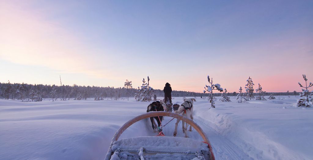 Arctic Circle Wilderness Resort con possibile estensione a Helsinki