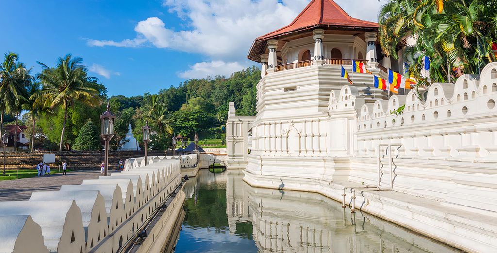 Tour privato: I luoghi da non perdere in Sri Lanka 