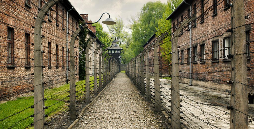 Tour tra le bellezze delle città polacche in 4*