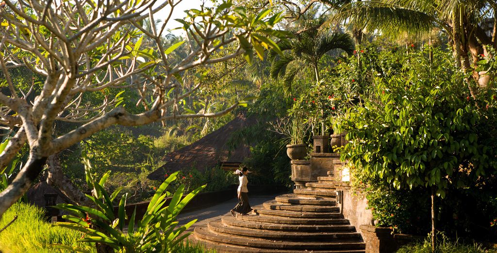 Seres Springs Resort 5*, GiliZen Resort 4* e Bali Cozy Villas 4*