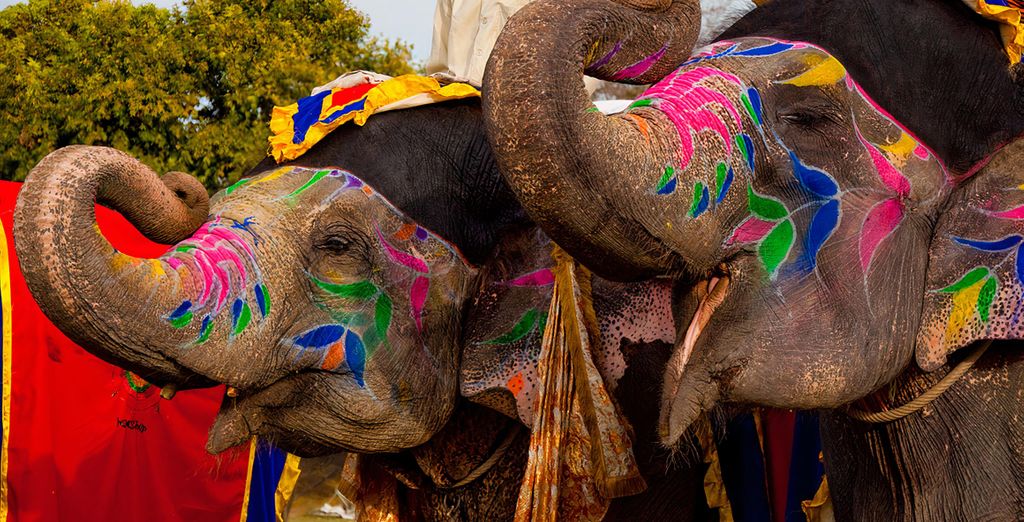 Tour privato: Il meglio del Rajasthan