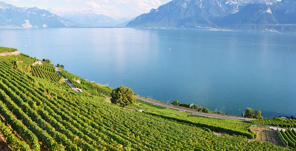 IntercityHotel Geneva 4*