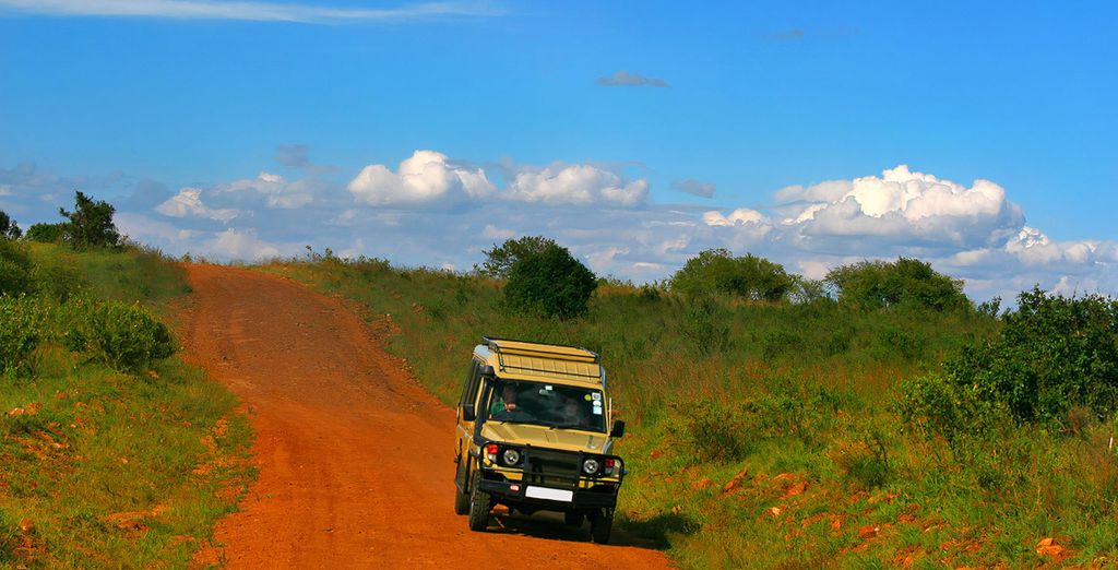 Combinato Safari di 2, 3 o 4 notti e Temple Point Resort 4*