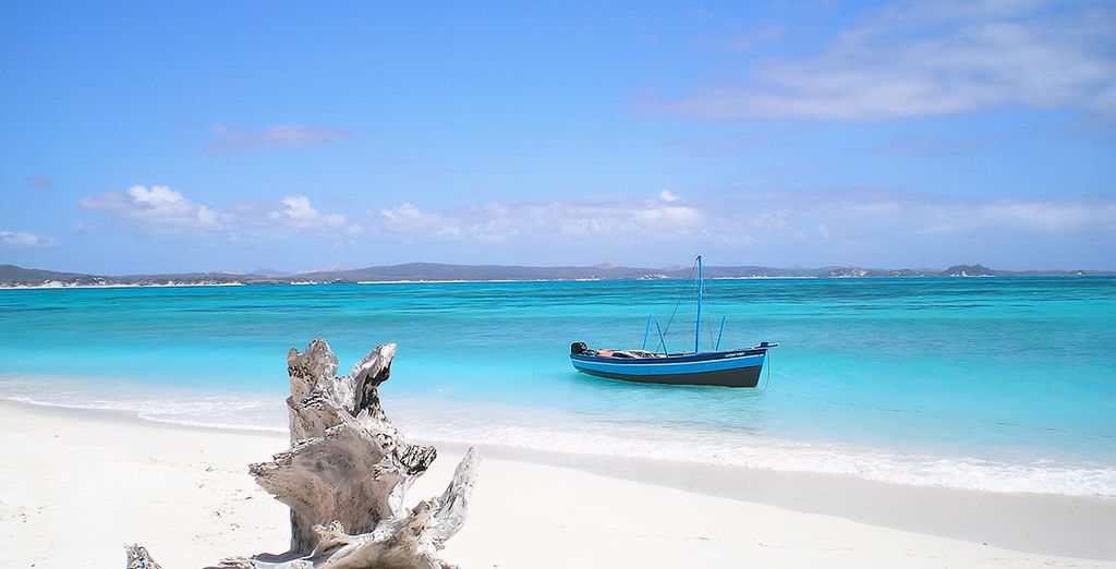 Jumbo Club Watamu 5* con possibile safari