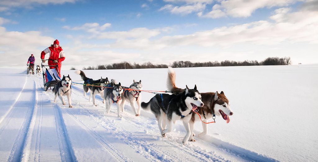 Tour di 7 notti alla scoperta di Montréal con attività al Lac à l'Eau Claire