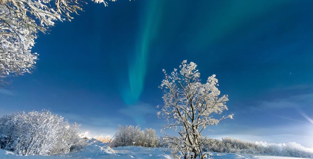 Tour alla scoperta del Grande Nord