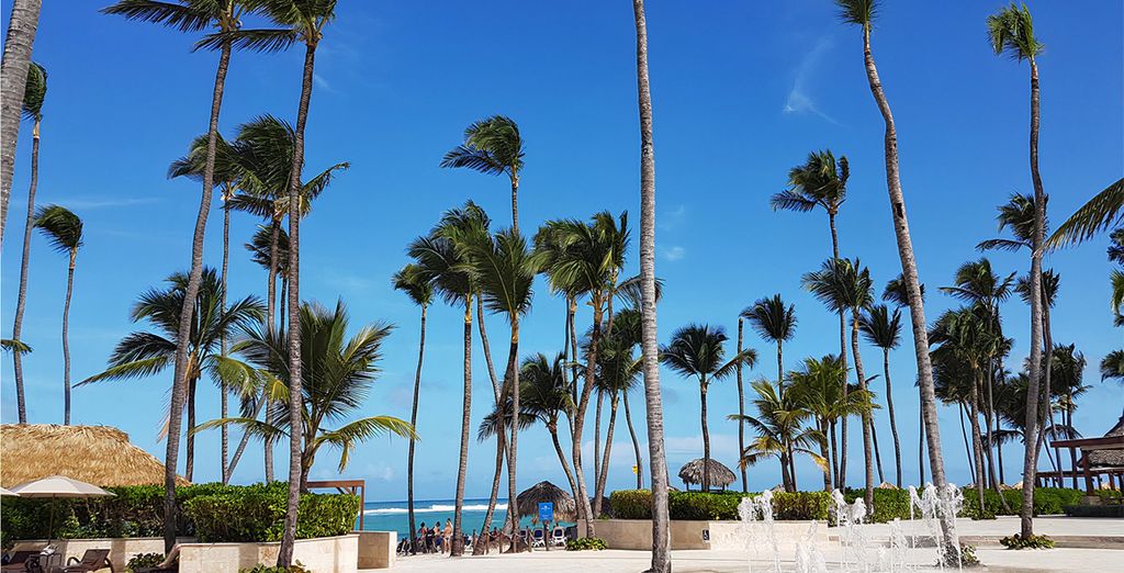 Hideaway at Royalton Punta Cana 5* - Adults Only