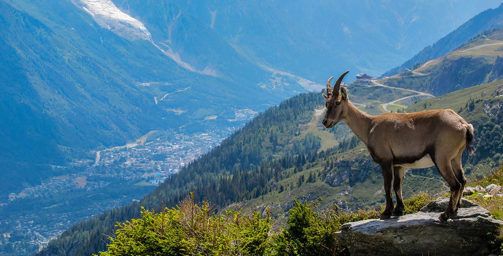 CGH Résidence & Spa Le Hameau de Beaufortain 4*