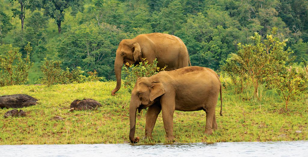 Tour di 10 notti alla scoperta di Kerala e dei templi di Madurai