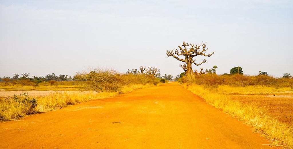 Tour privato di 7 notti il Senegal autentico con possibile estensione al mare