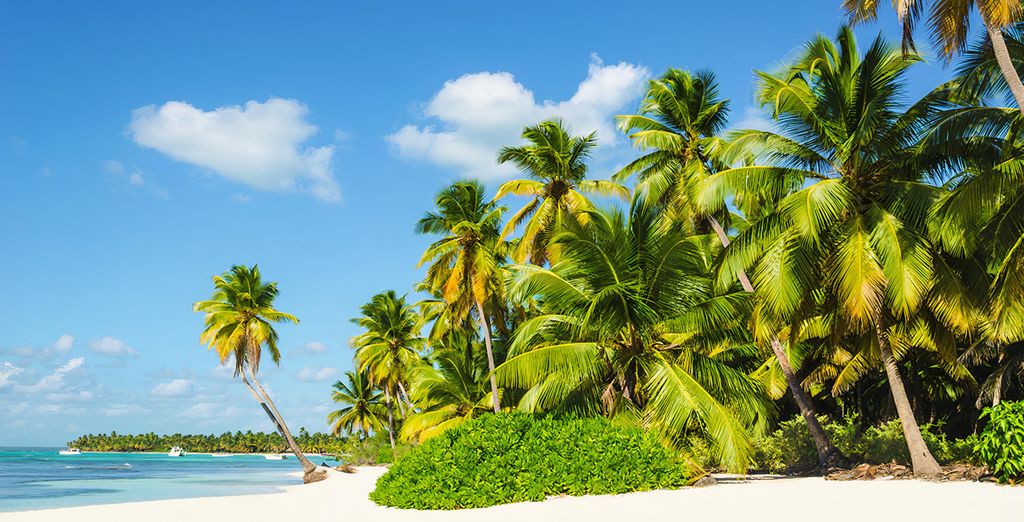 Sunscape Dominicus La Romana 4*
