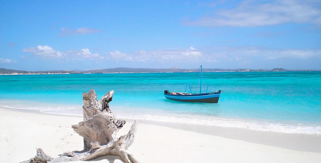 Safari alla scoperta della fauna locale con estensione al Tempe Point Resort 4*