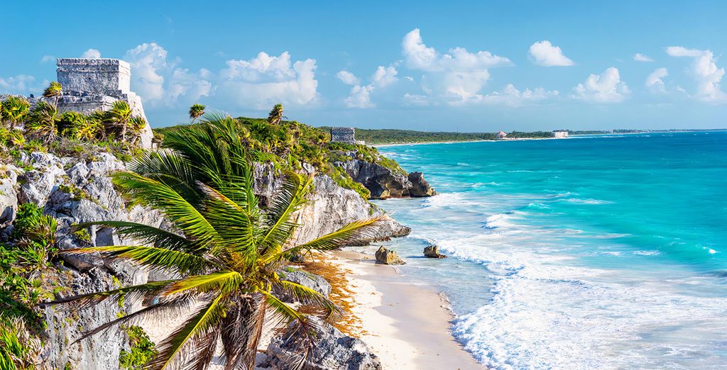 Iberostar Paraiso Beach 5*
