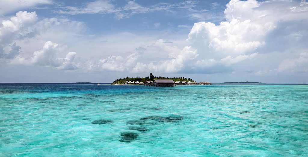 Dhigufaru Island Resort 5*