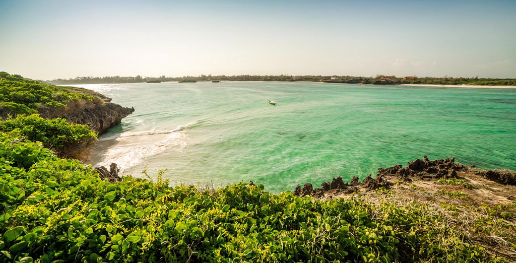 Combinato Safari di 2, 3 o 4 notti e Temple Point Resort 4*