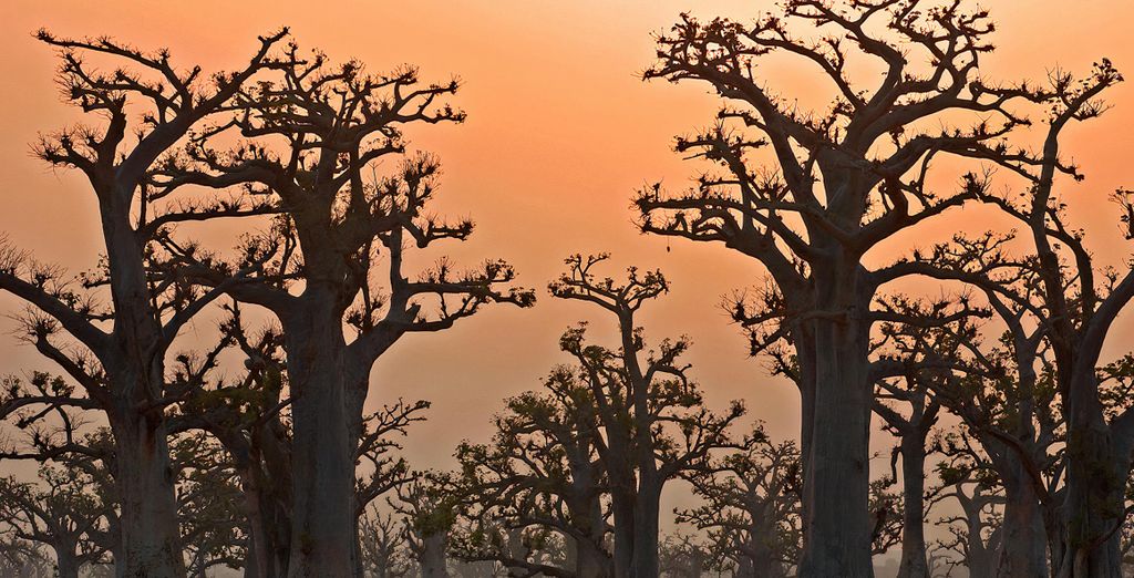 Tour privato "Terra di leggende" con possibile estensione
