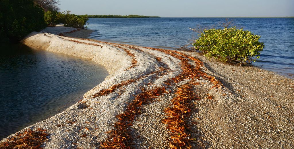 Tour privato "Terra di leggende" con possibile estensione